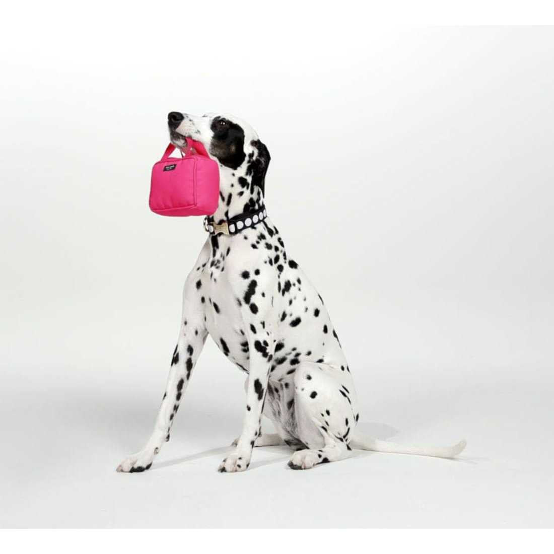 Pink Dog Chew Toy H74346