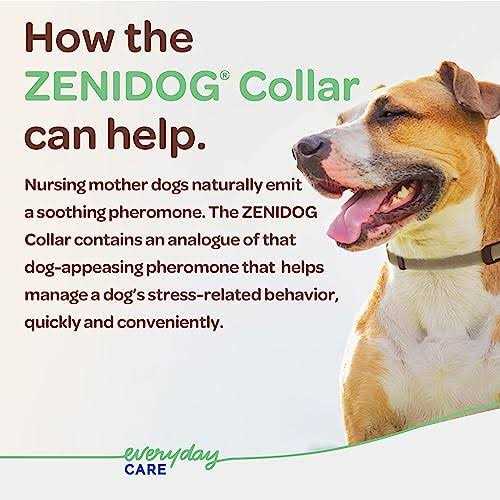 Long-acting Collar Medium/large Y594767