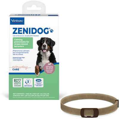 Long-acting Collar Medium/large Y594767